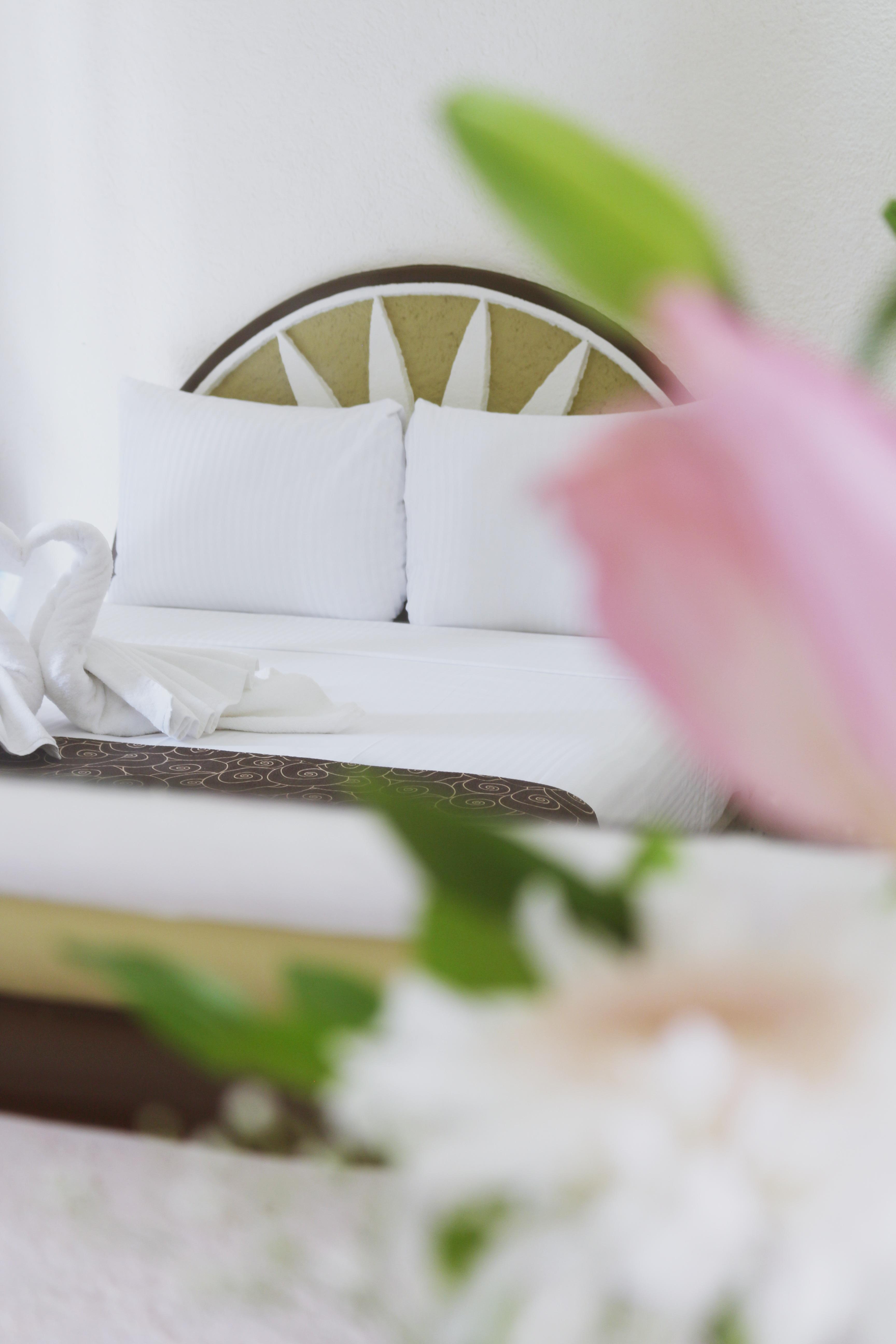 Habitación Cuádruple Estándar