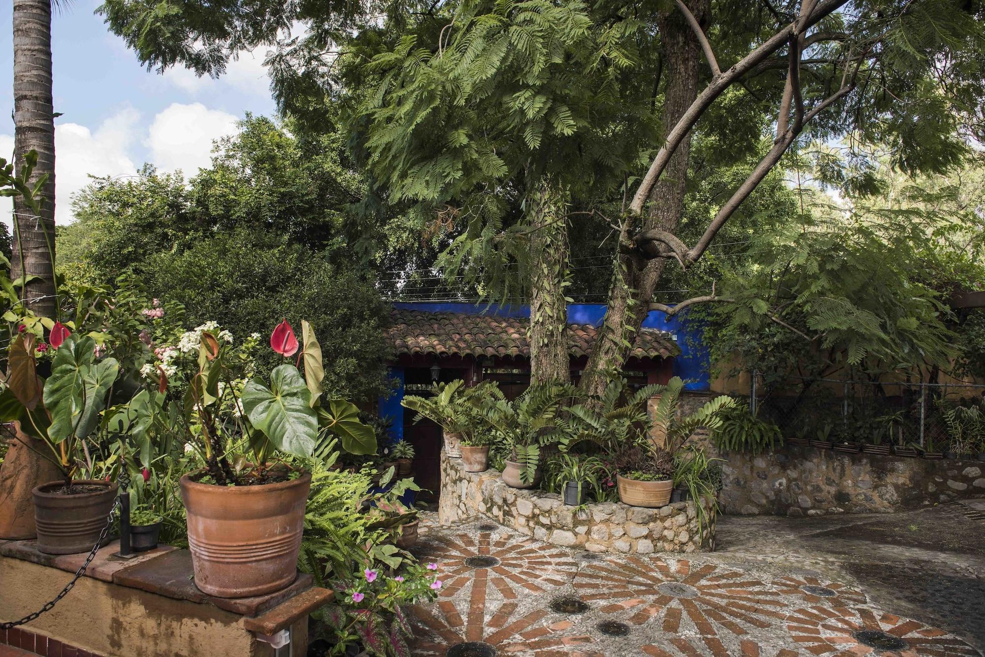 Orchidelirium Casa Hotel & Salud Estetica 6