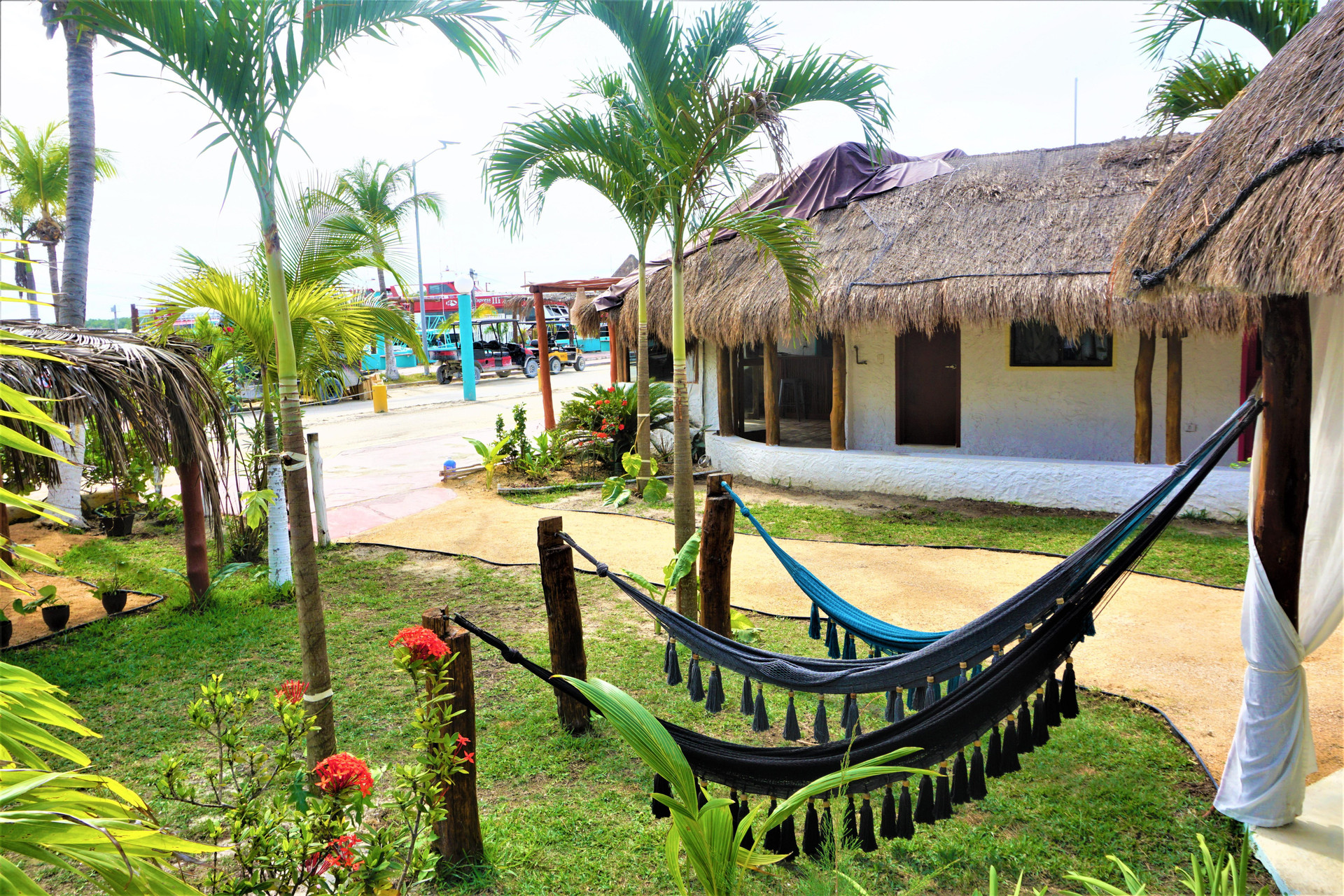Mayan Mittoz 5