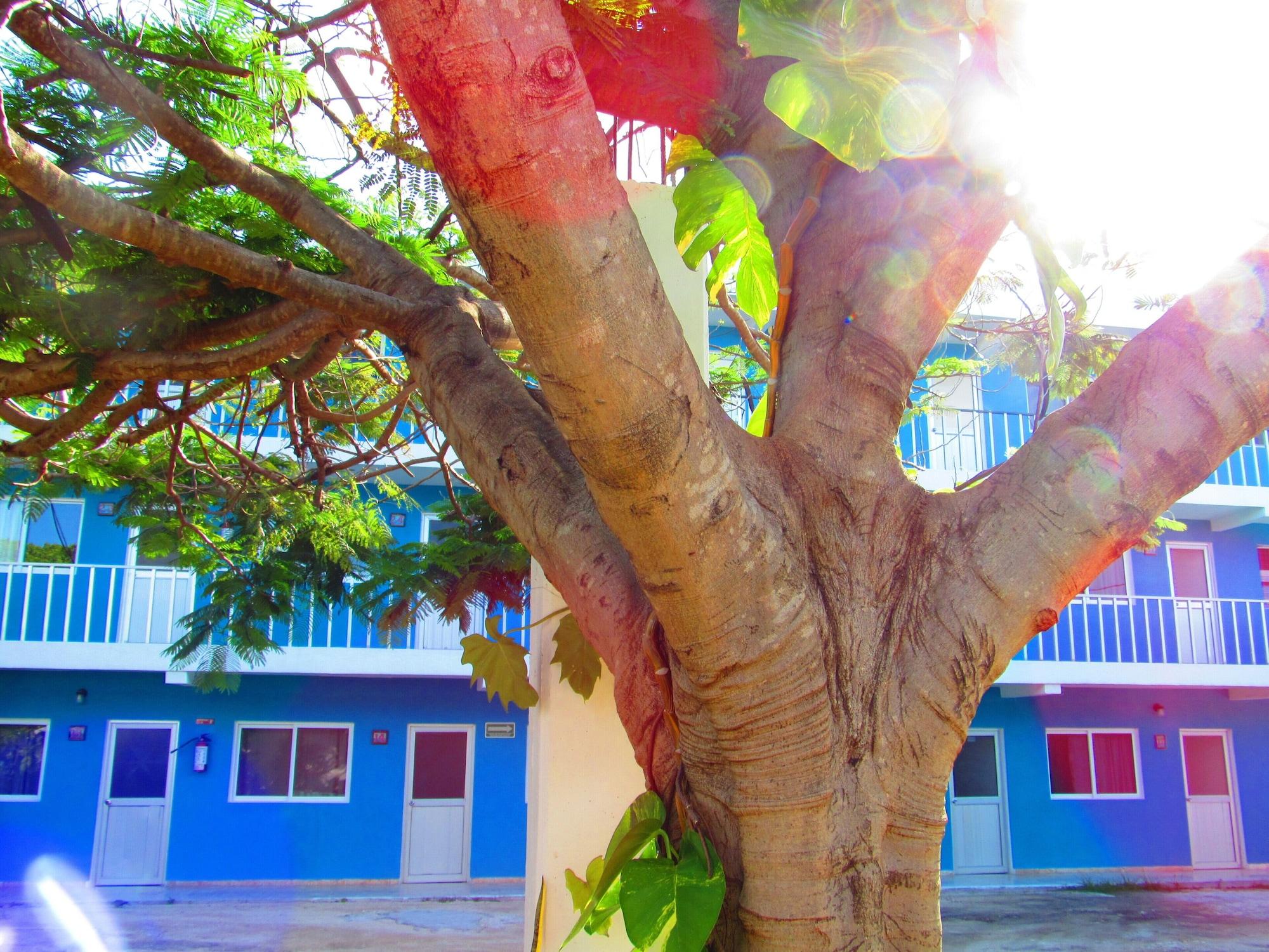 Blue Coconut Cancun Hotel 6