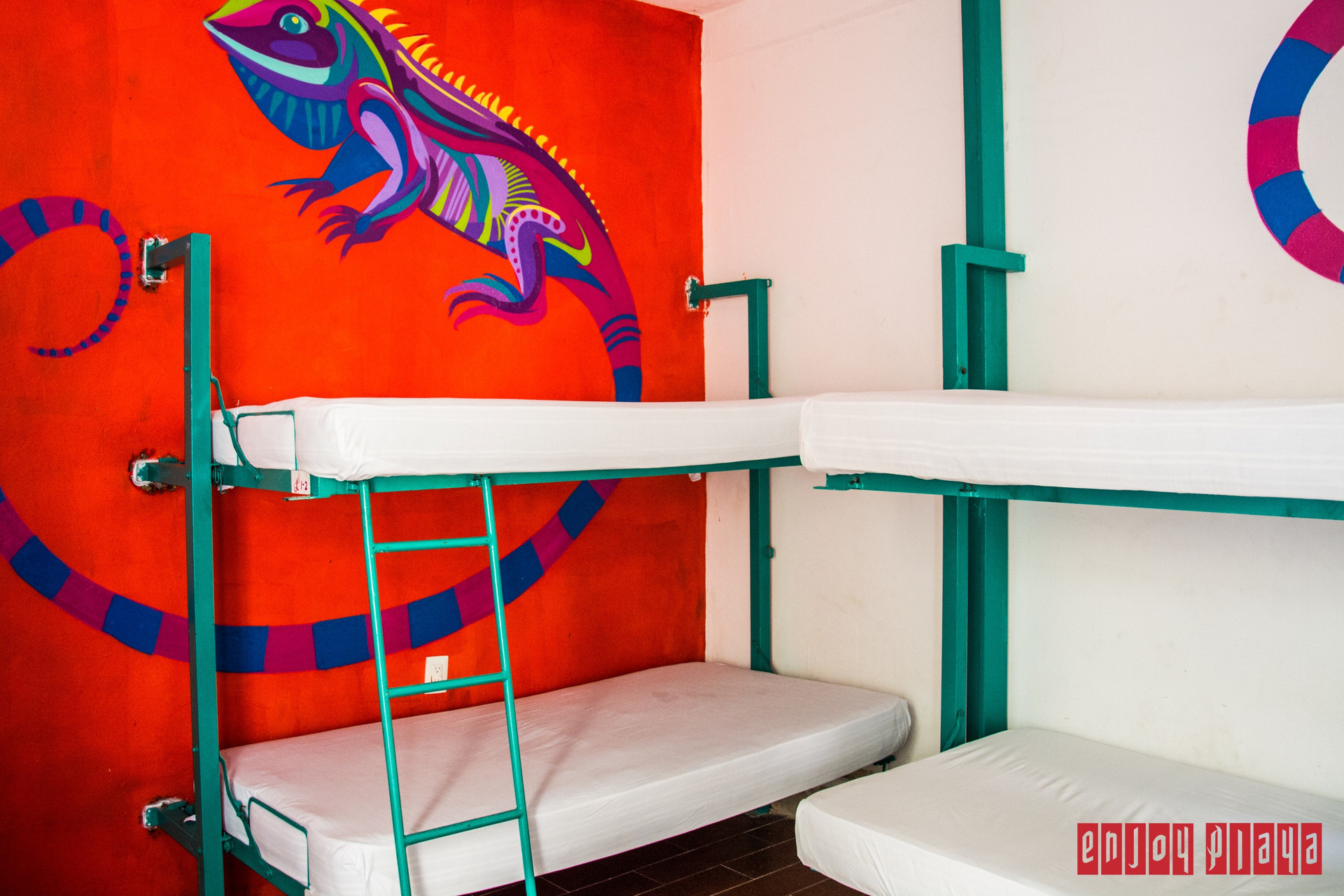 image-housing-carousel