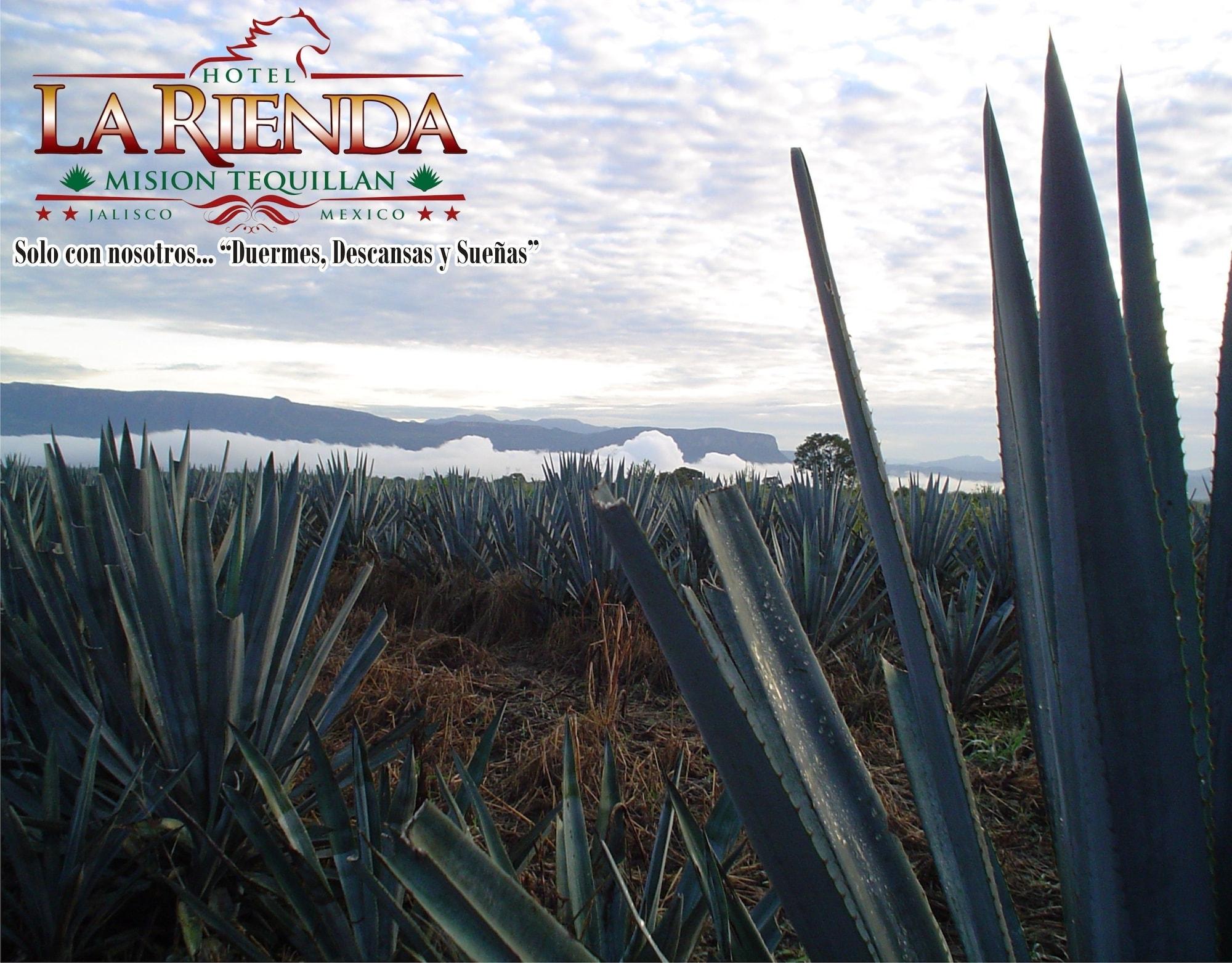 Hotel La Rienda Misión Tequillan 4