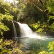 Centro Tur&iacute;stico Anticura Parque Nacional Puyehue