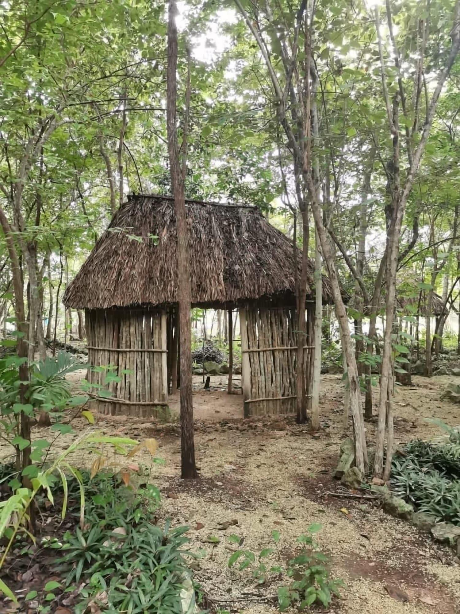 image-housing-carousel