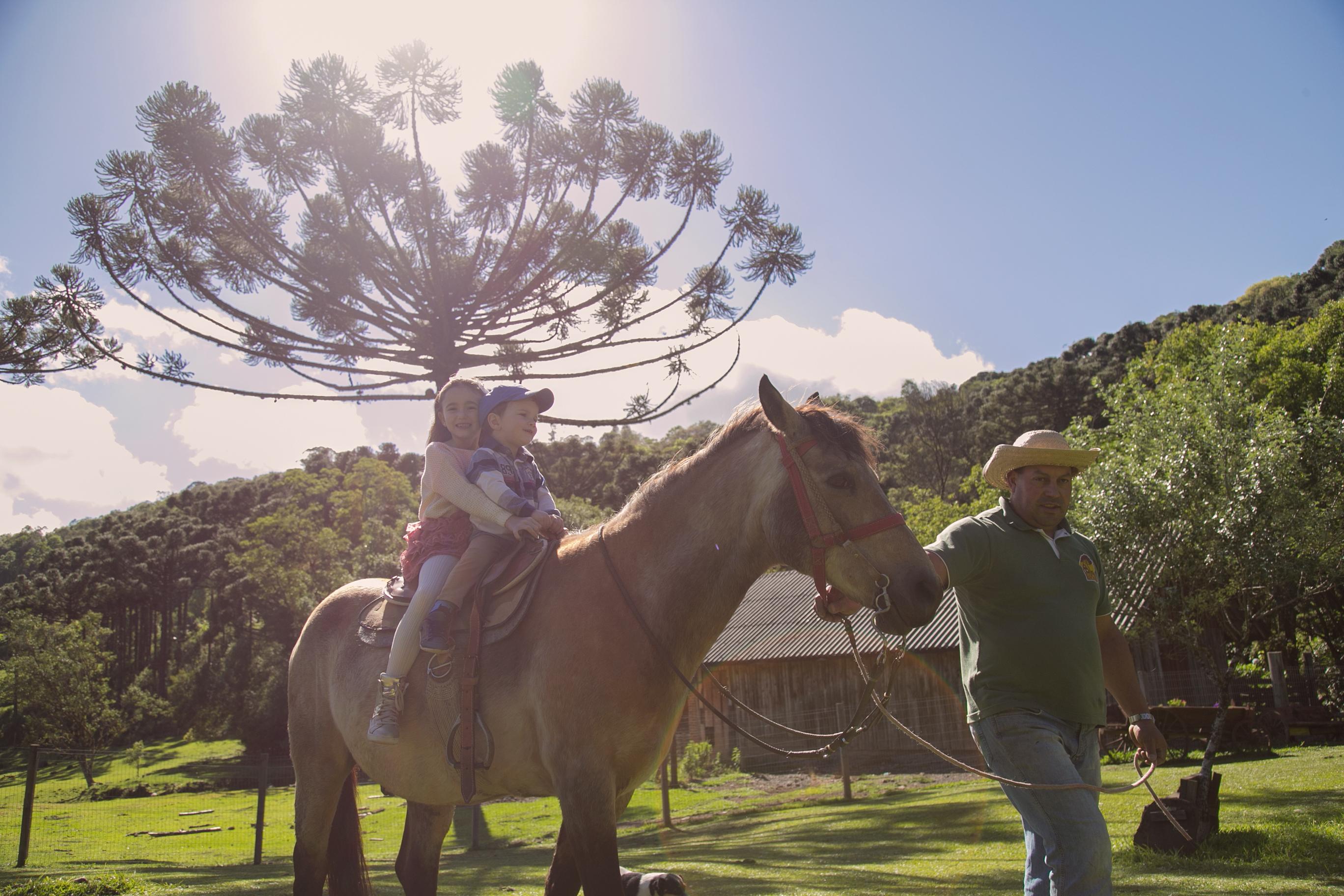 image-housing-carousel
