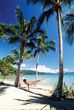 Long Island Resort Whitsundays