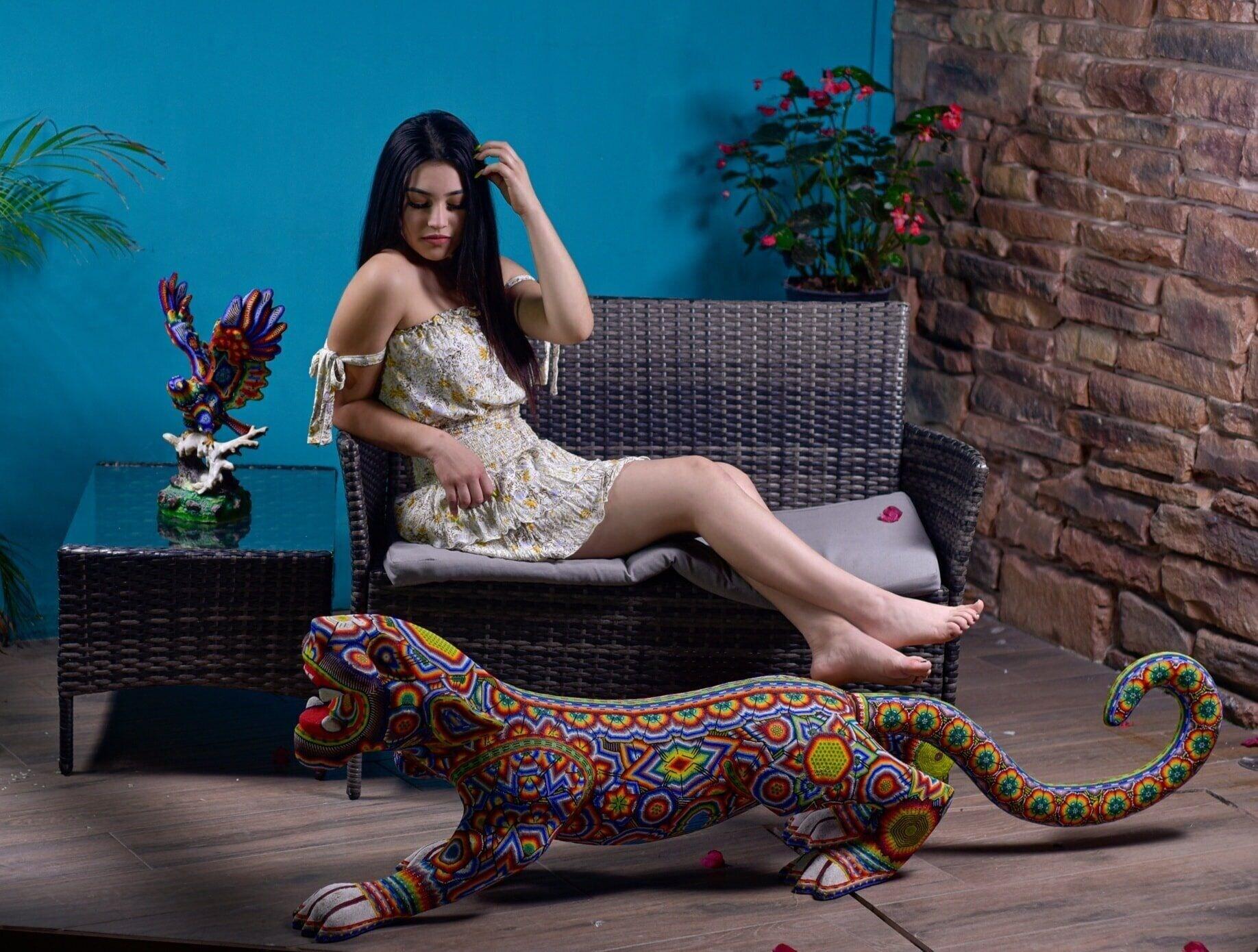 image-housing-carousel