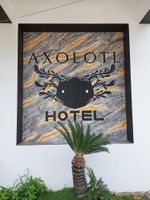 Hotel Axolotl