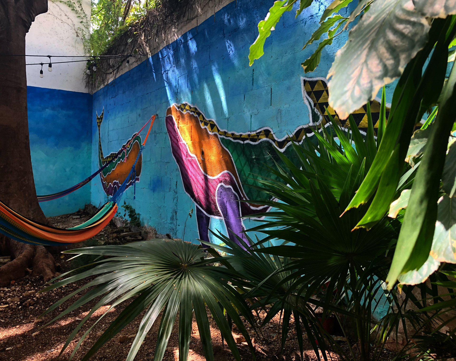 image-housing-carousel