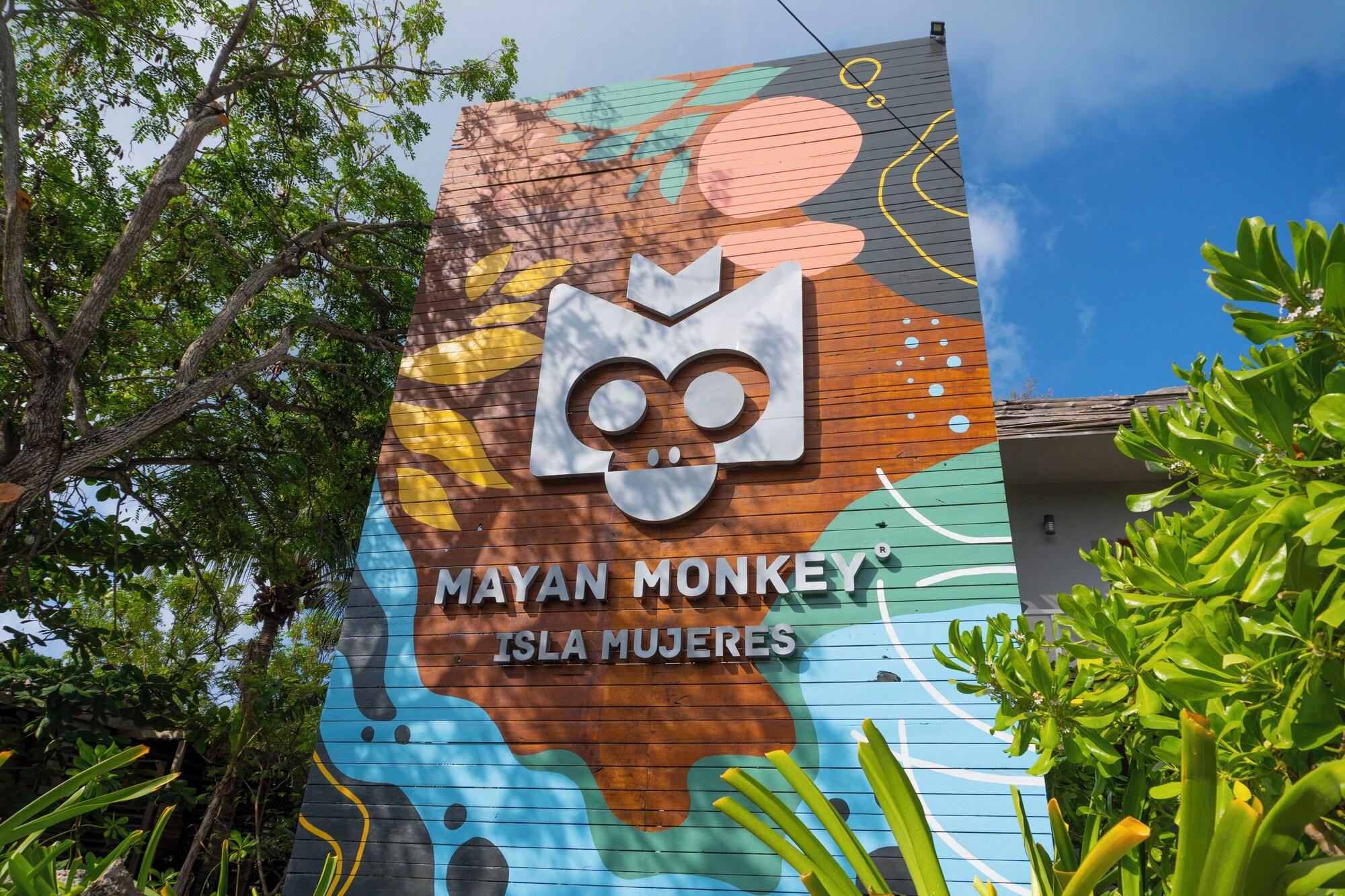Mayan Monkey Isla Mujeres | Social Hotel