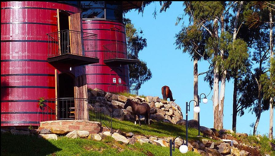 image-housing-carousel