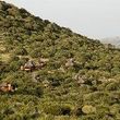 Thanda Private Game Reserve