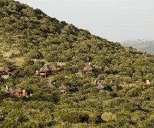 Thanda Private Game Reserve