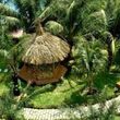 Sunny Beach Resort