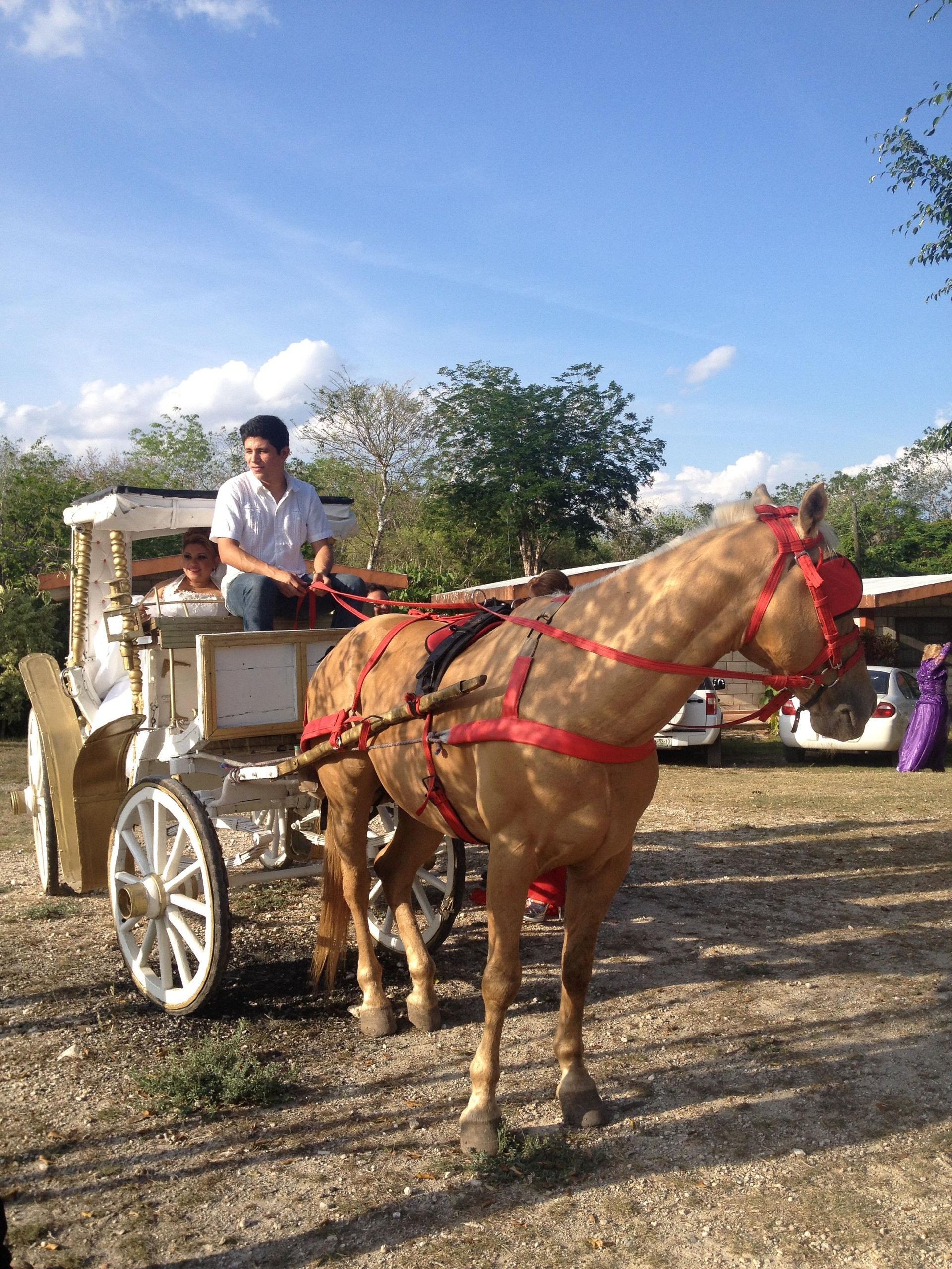 image-housing-carousel