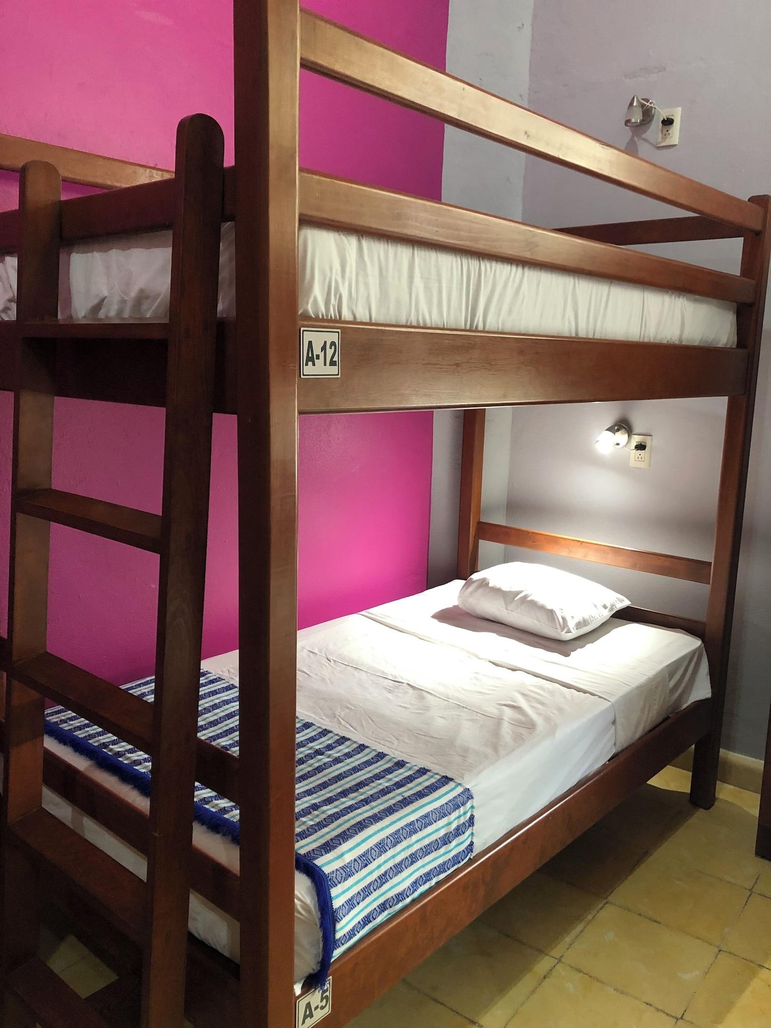 Hostel Viatger Inn 6