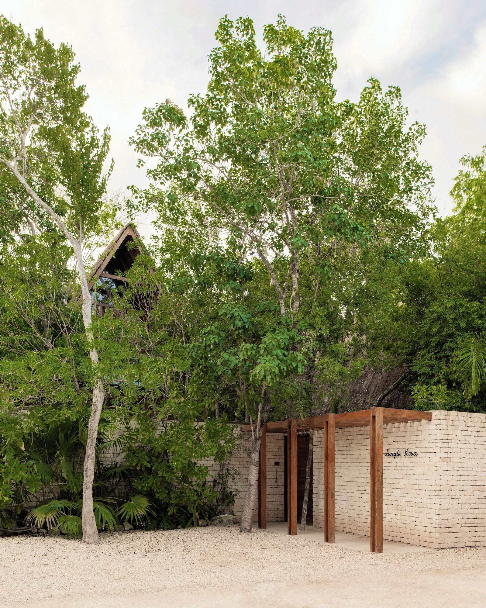 Jungle Keva Tulum Villa/Lodges & Venue 3