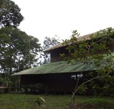 Amazon Lake Lodge