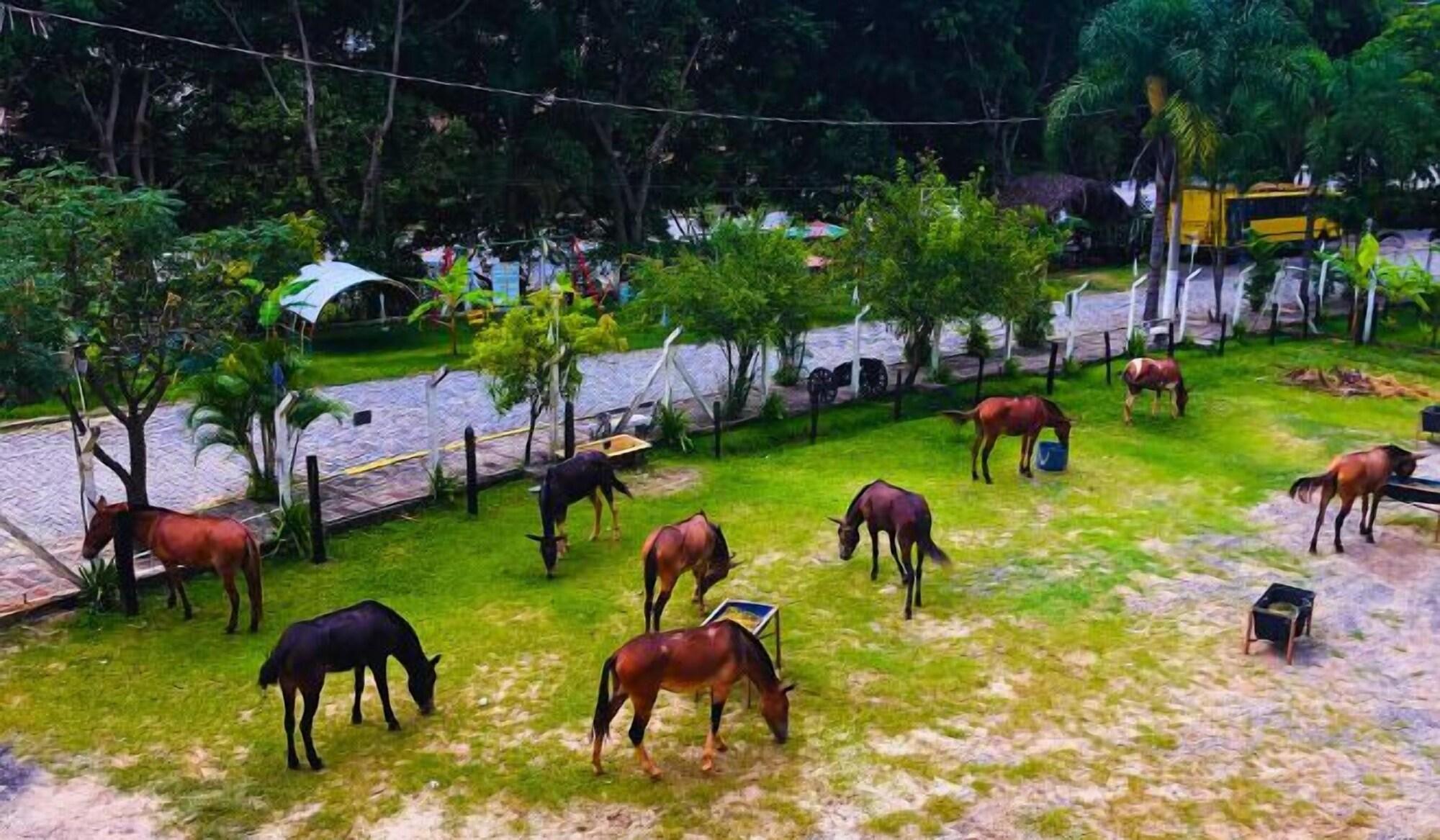 image-housing-carousel
