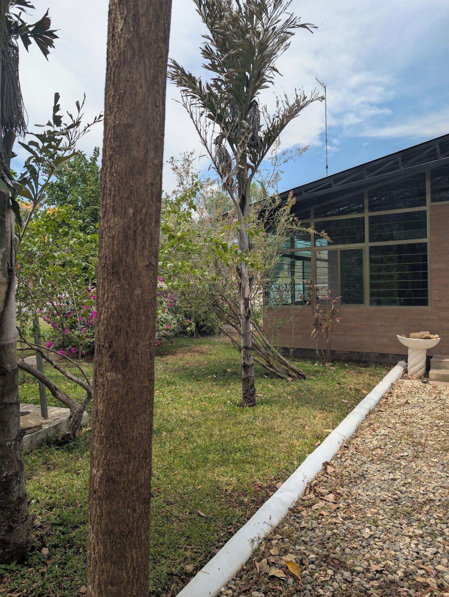 Hotel Los Cedros Uayamon 4