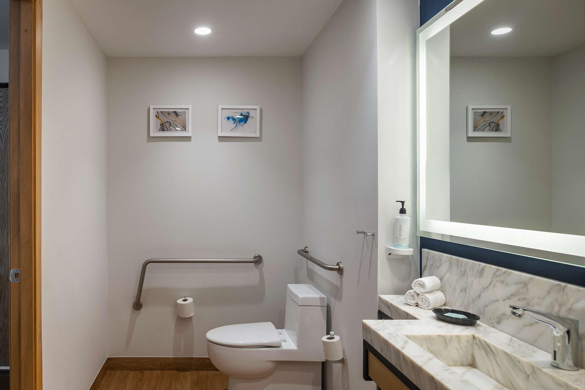 Habitación, 1 cama King size (Mobility & Hearing, Roll-In Shower)