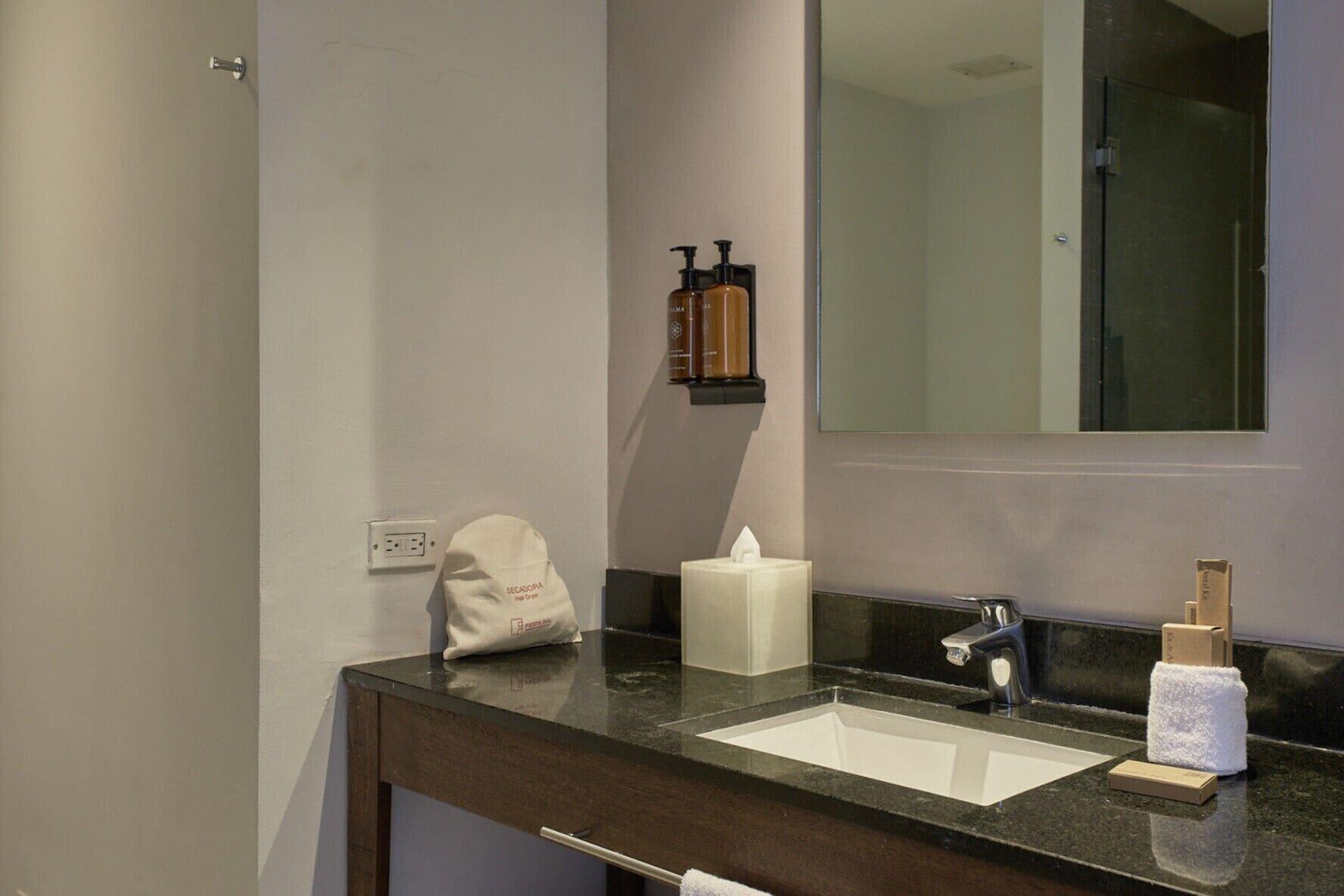 Suite junior, 1 cama Queen size