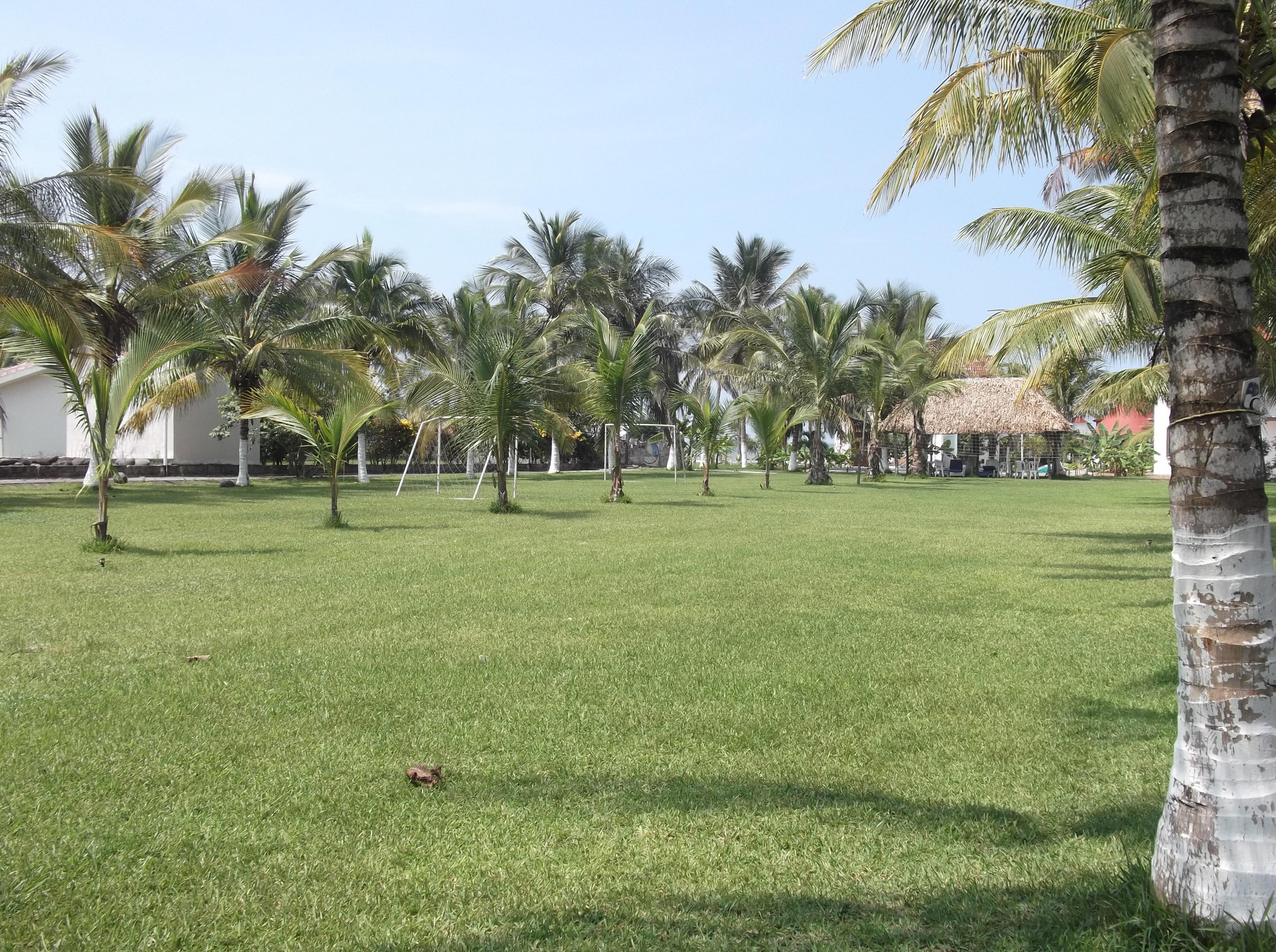 Hotel Casitas del Tajin 6