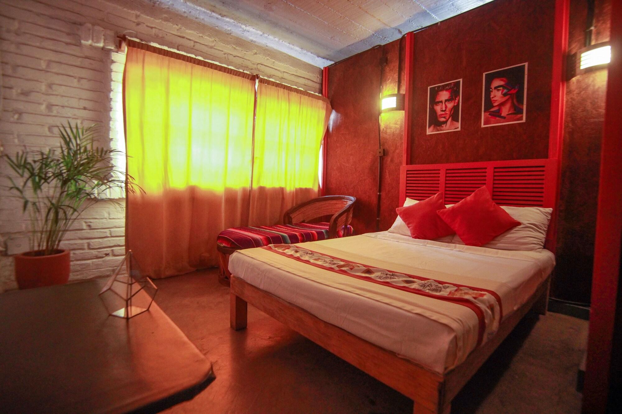 Canova Hostel & Pizza 6