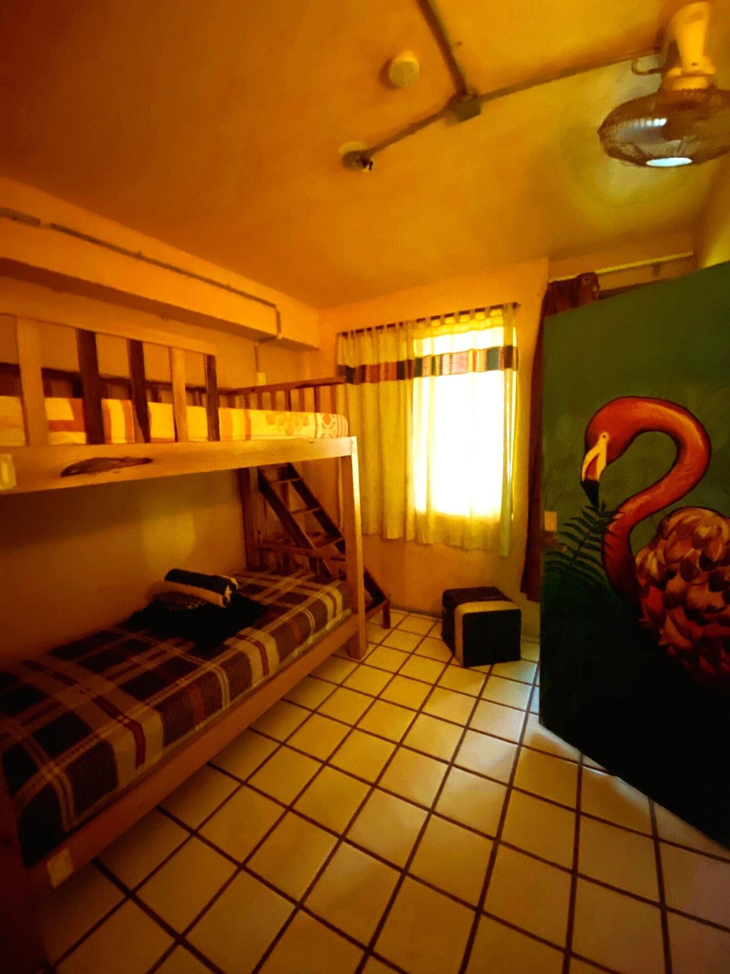 image-housing-carousel