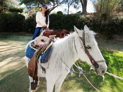 image-housing-carousel