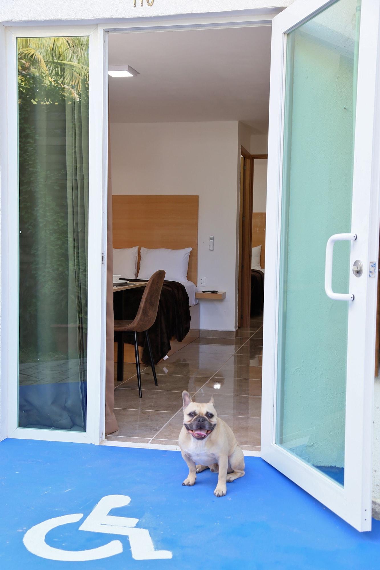 image-housing-carousel