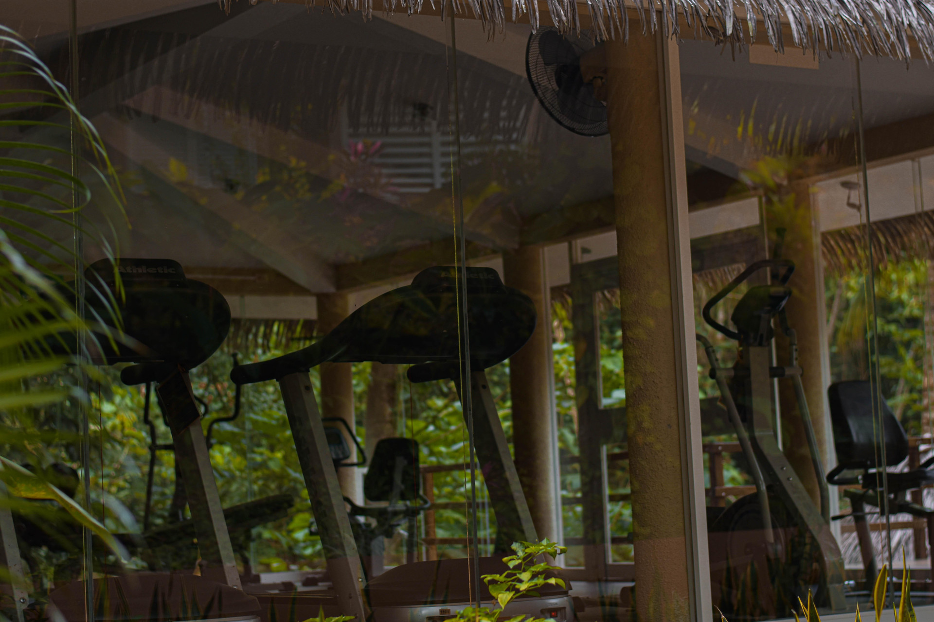 image-housing-carousel