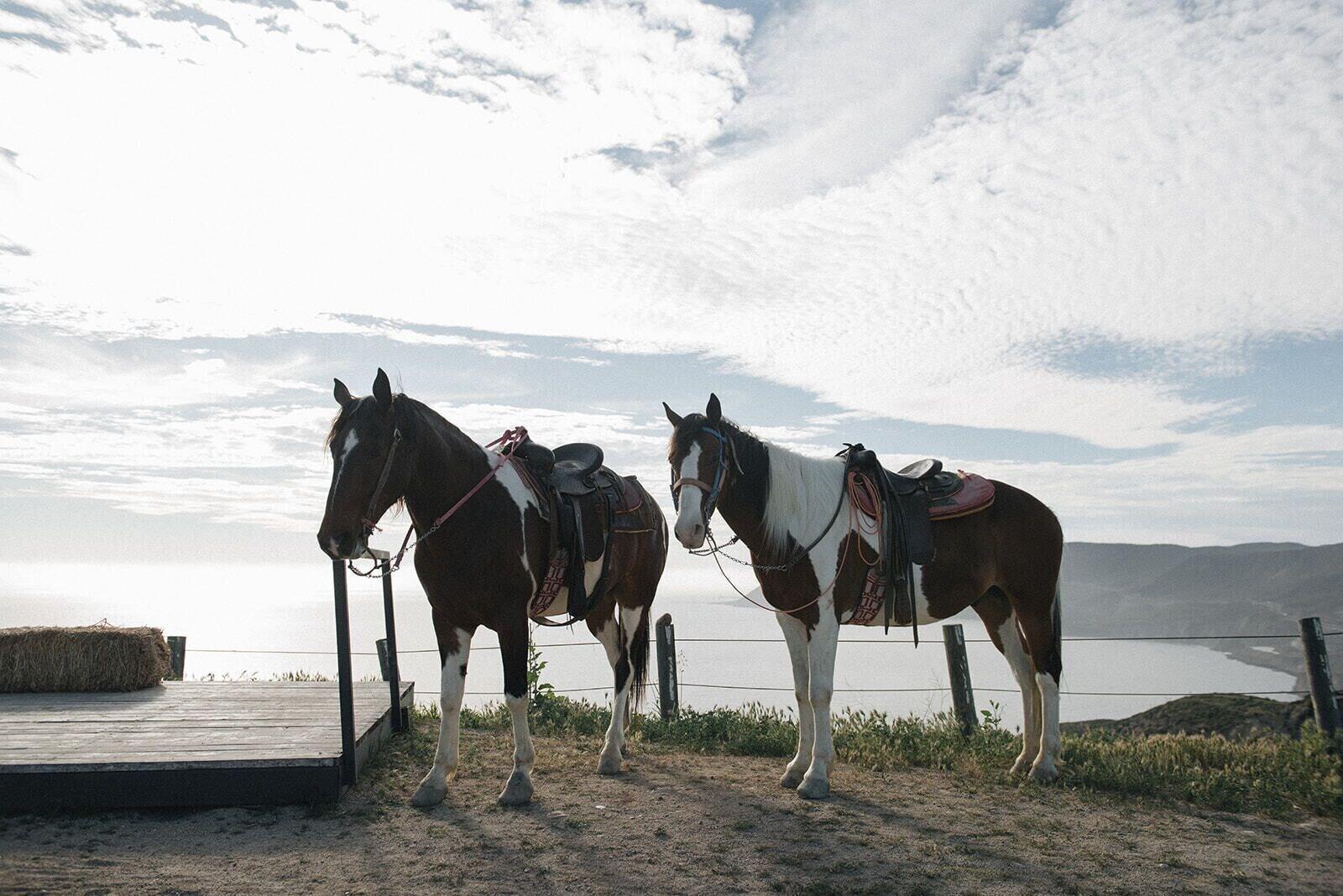image-housing-carousel