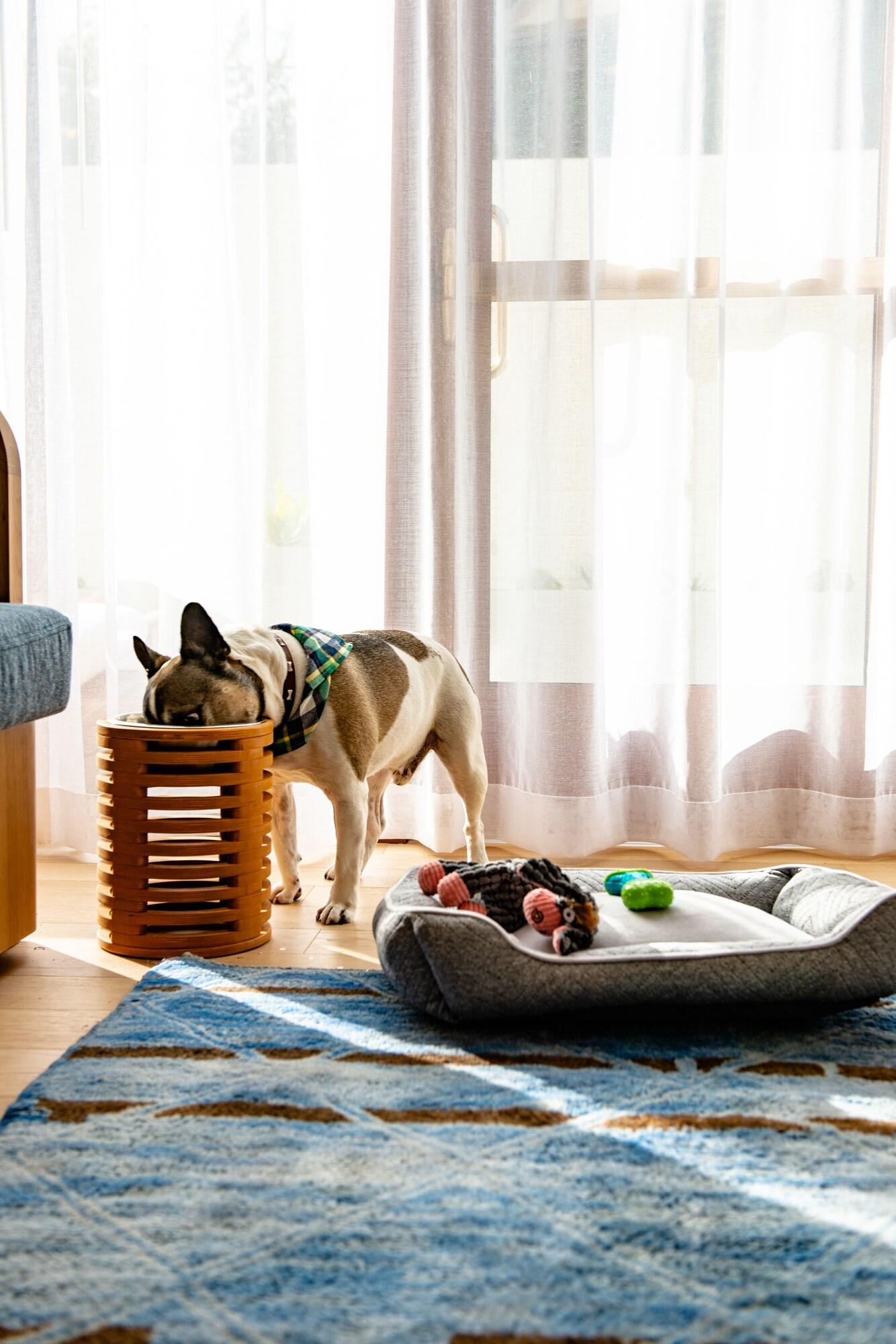 image-housing-carousel