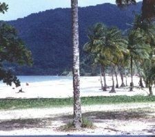 Maracas Bay 