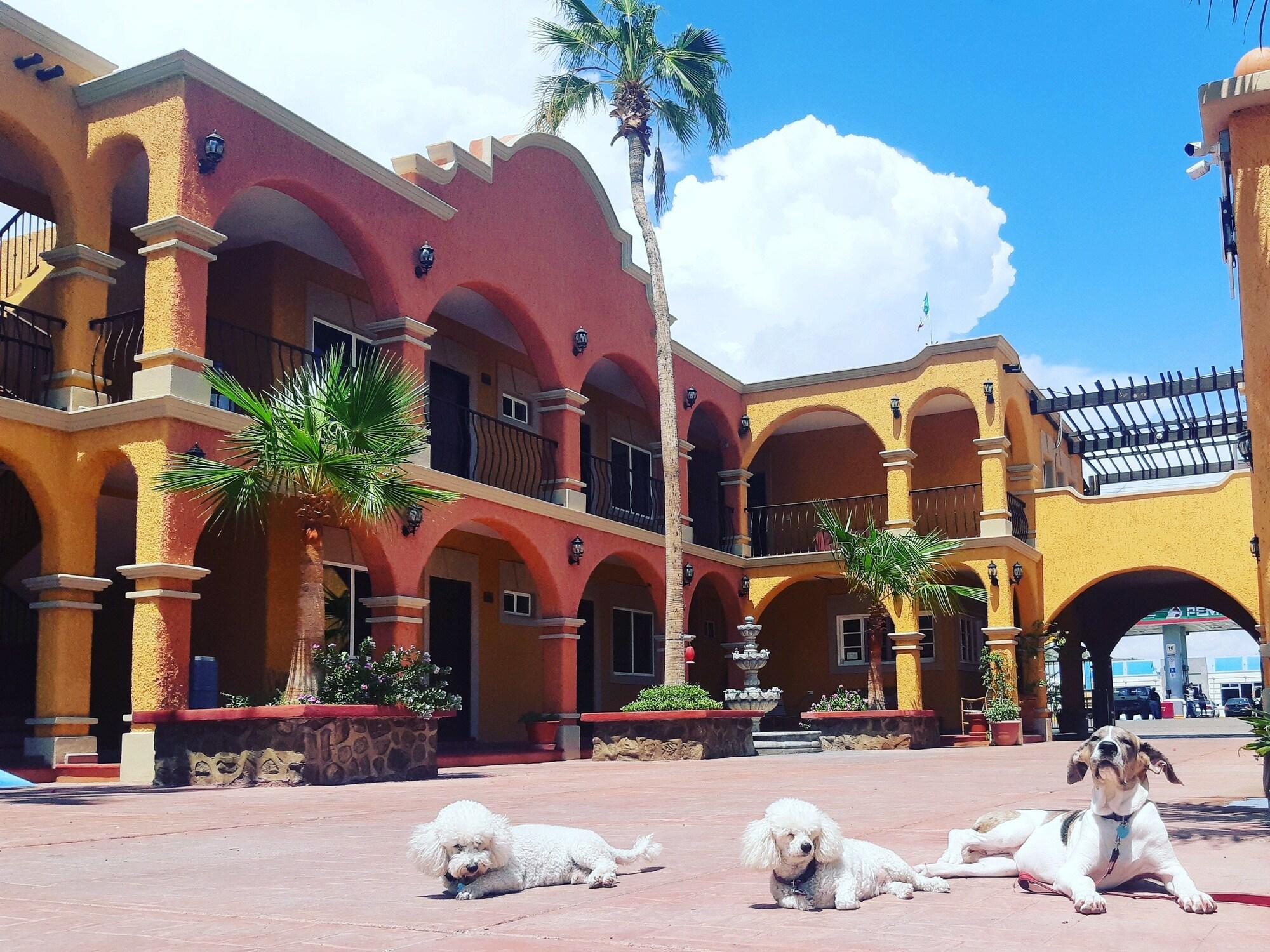 Hotel Angra 6