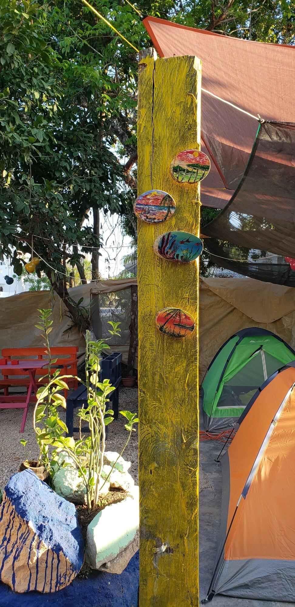 image-housing-carousel