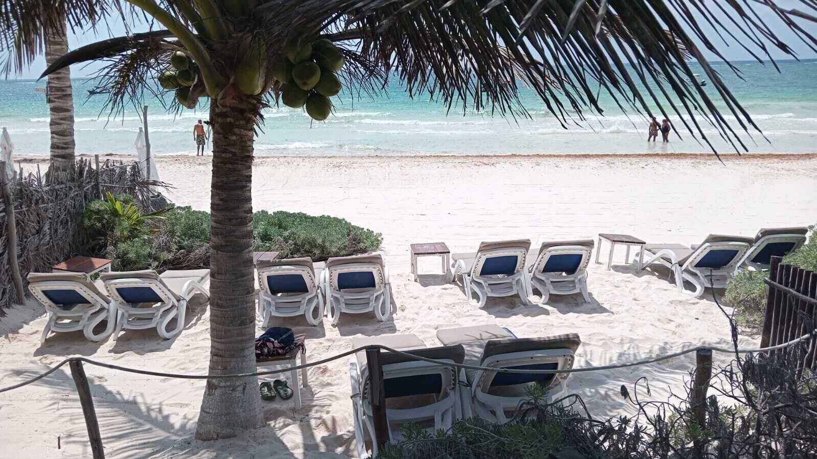 Playa Las Palmas Glamping Tulum 2