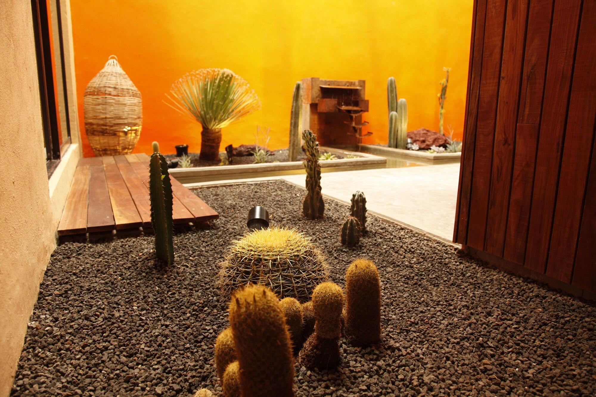 Coyoacan-inn Guesthouse 4