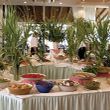 Ermones Active Holiday Resort