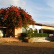 Hotel Alpina 