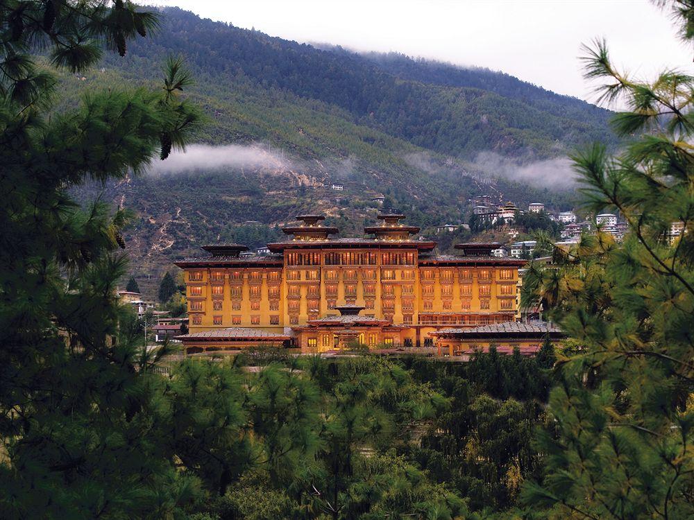 Taj Tashi image