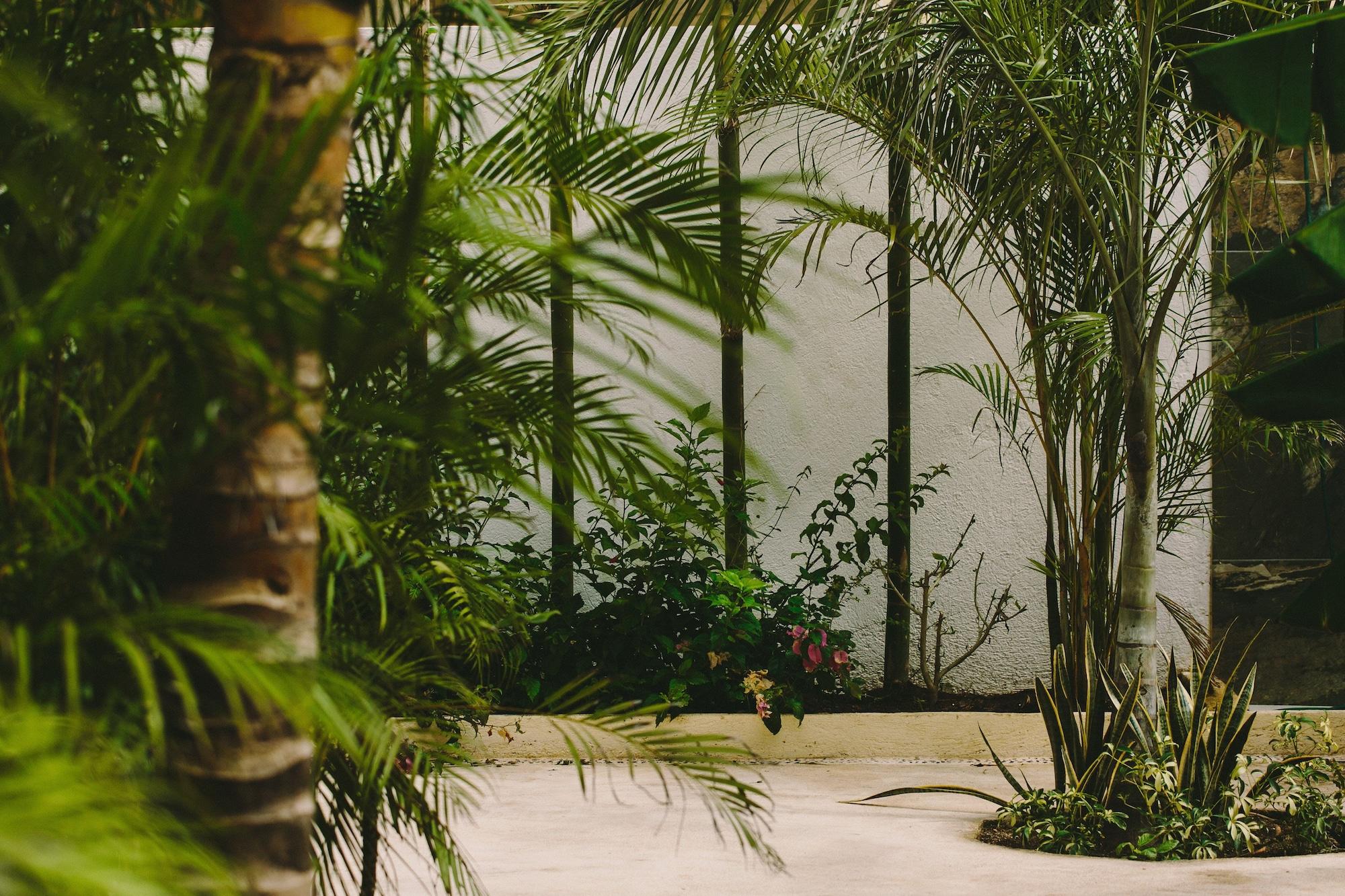 Boho Eco-Chic Boutique Resort 5