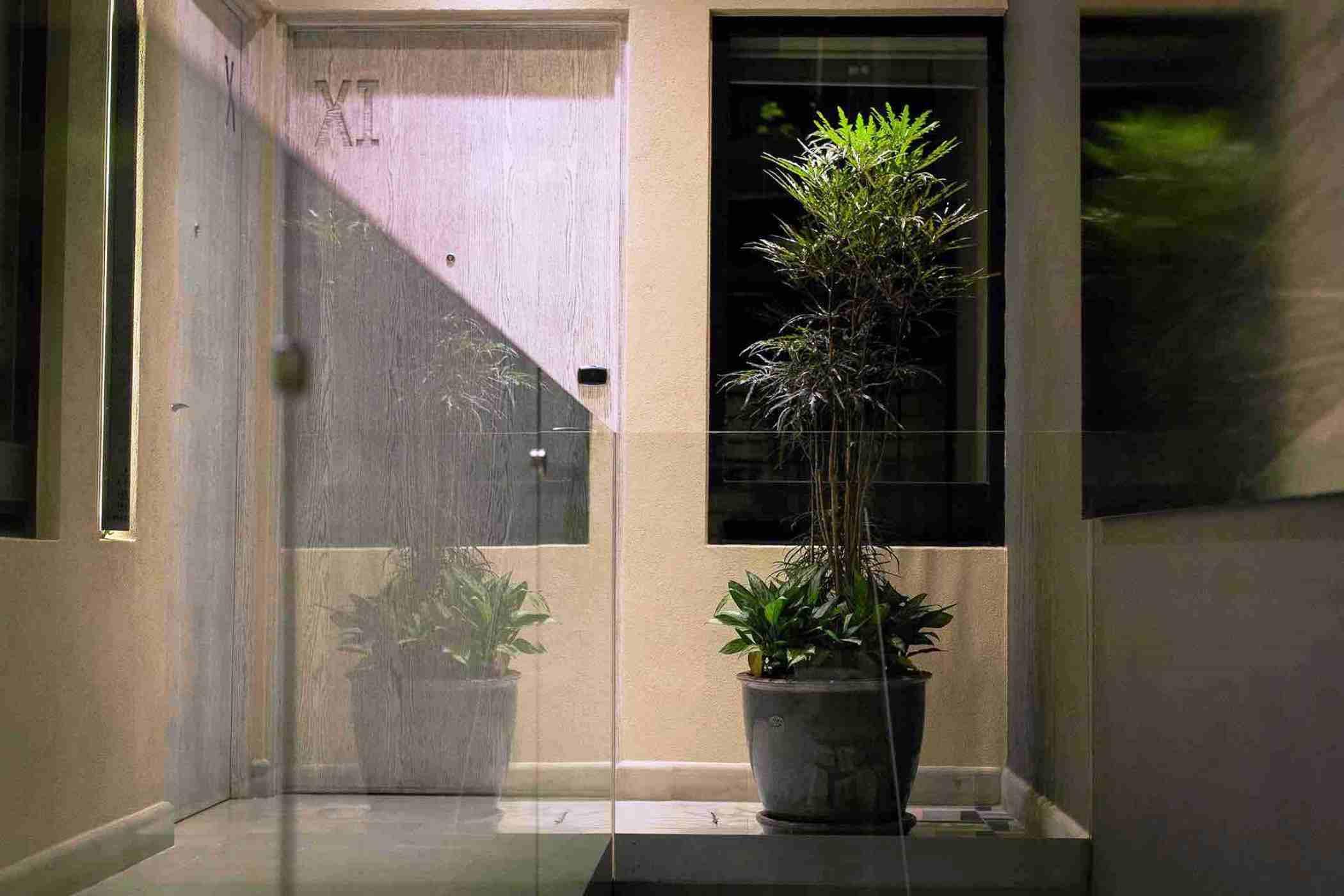 Othelo Hotel Boutique México 4