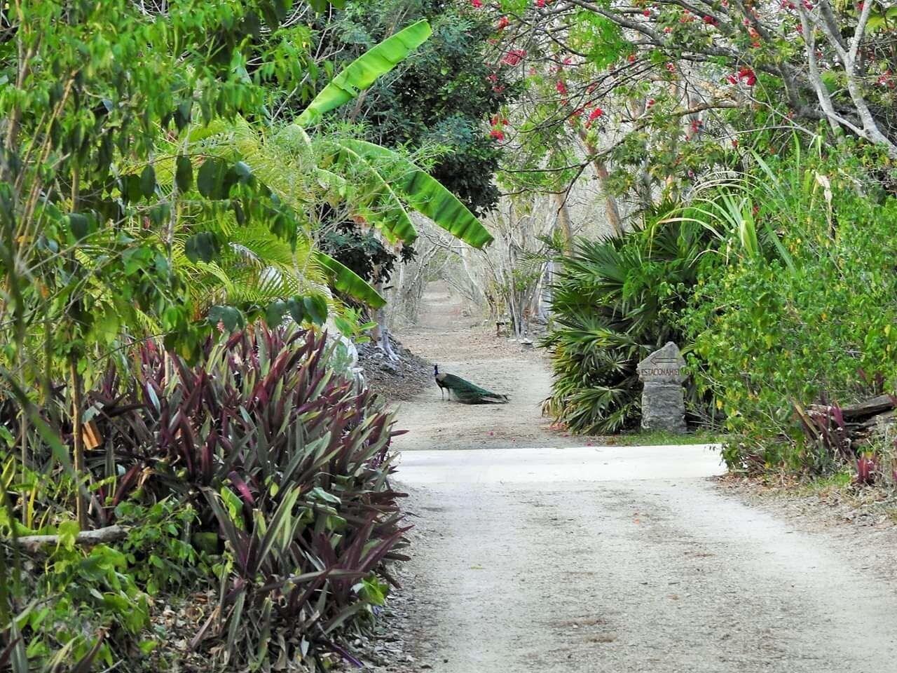 Ecoturismo Sihunchen 4