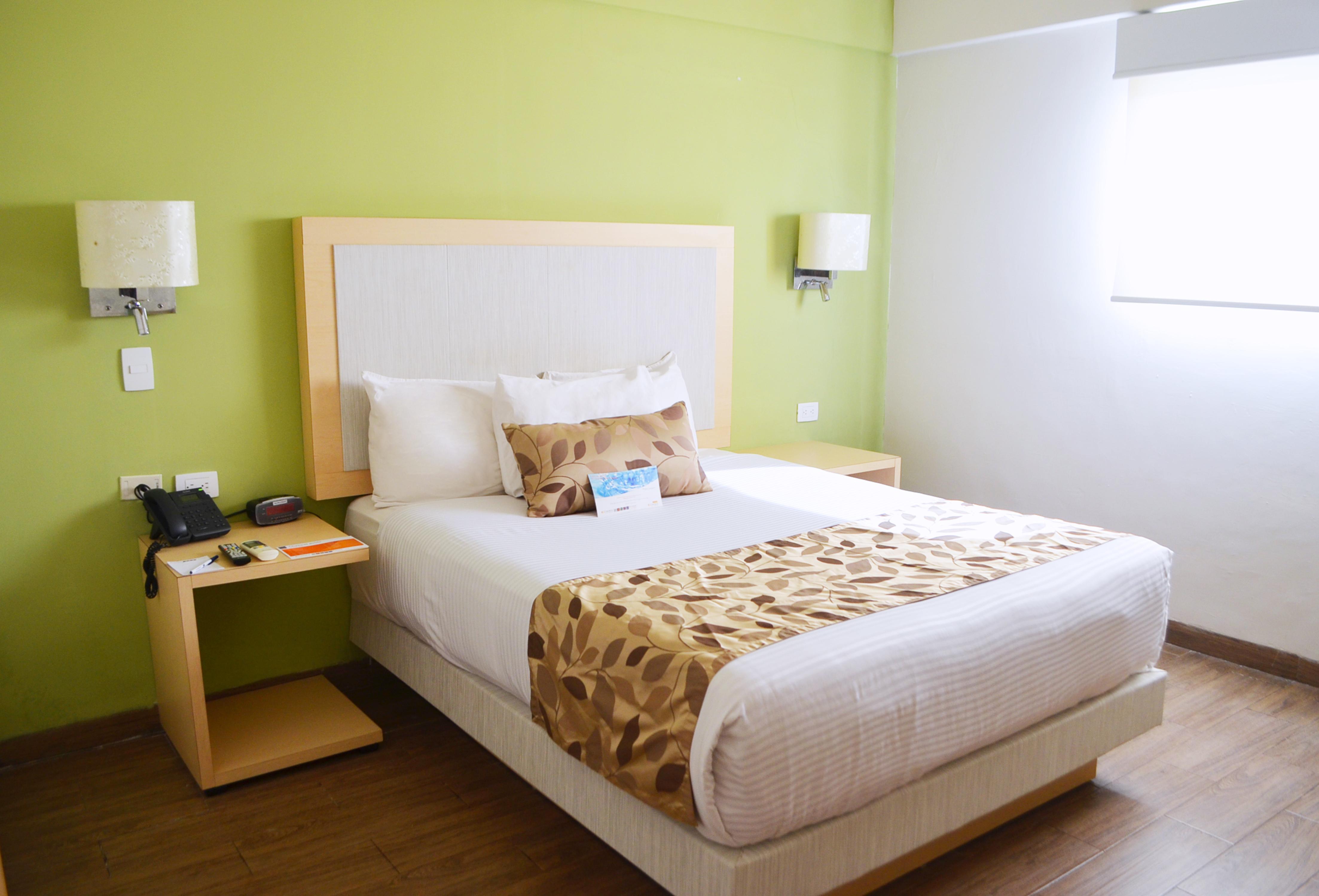 Single Queen Size Bed