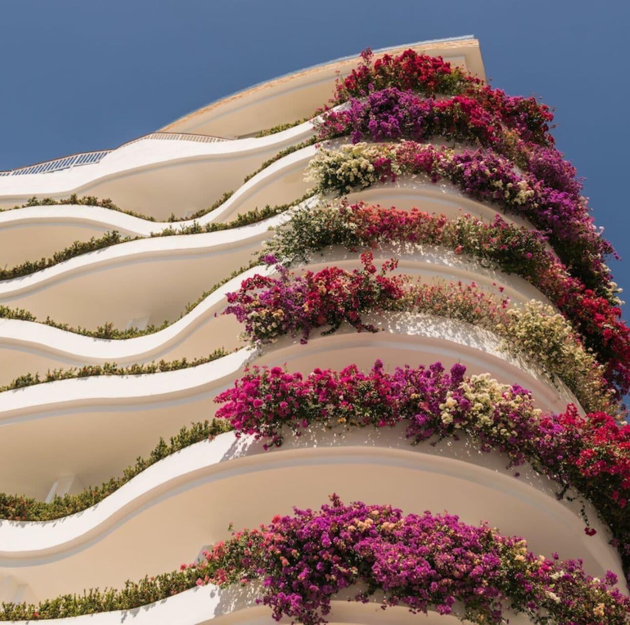 Grand Miramar Resort Puerto Vallarta 6