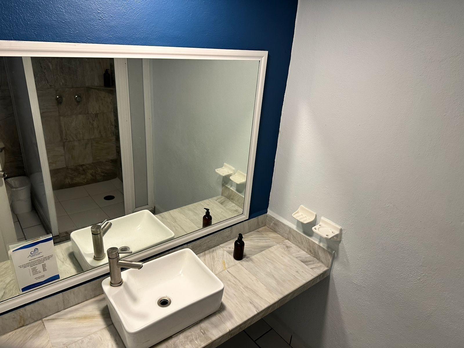 Habitación estándar, vista al jardín