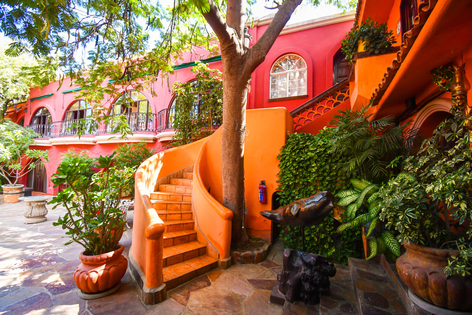 Collection O Casa Bella Hotel Boutique, Cabo San Lucas