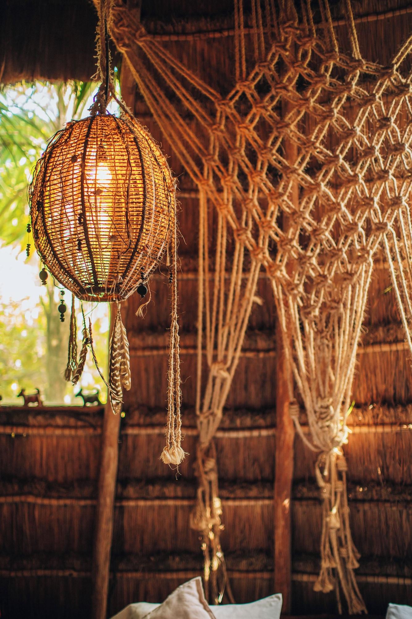 Jungle Mayan Suite